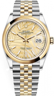 Rolex Datejust 36mm Stainless Steel and Yellow Gold 126203 Champagne Palm Jubilee watch