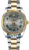 Recently viewed watch 2