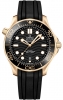 Recently viewed watch 2