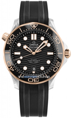 Omega Seamaster Diver 300m Co-Axial Master Chronometer 42mm 210.22.42.20.01.002 watch