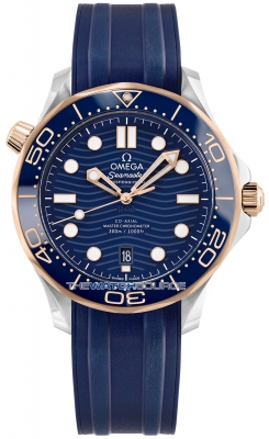 Omega Seamaster Diver 300m Co-Axial Master Chronometer 42mm 210.22.42.20.03.002 watch