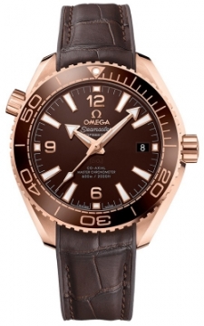 Omega Planet Ocean 600m Co-Axial Master Chronometer 39.5mm 215.63.40.20.13.001 watch