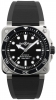Recently viewed watch 2
