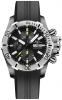 Recently viewed watch 2
