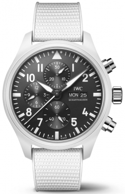 IWC Pilot's Chronograph TOP GUN IW389105 watch