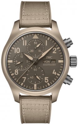 IWC Pilot's Watch Chronograph TOP GUN 41 IW389402 watch
