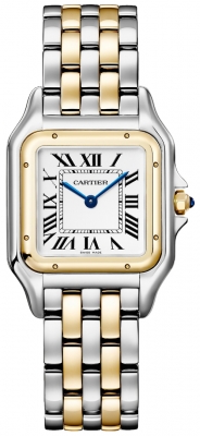 Cartier Panthere de Cartier Medium W2PN0019 watch