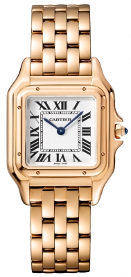 Cartier Panthere de Cartier Medium WGPN0050 watch