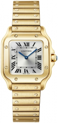 Cartier Santos De Cartier Small WGSA0107 watch